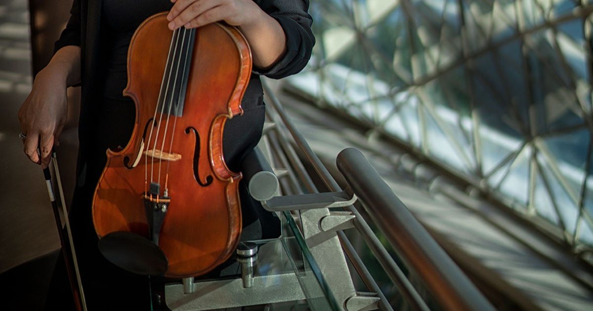 All about the Viola Singapore Symphony Orchestra